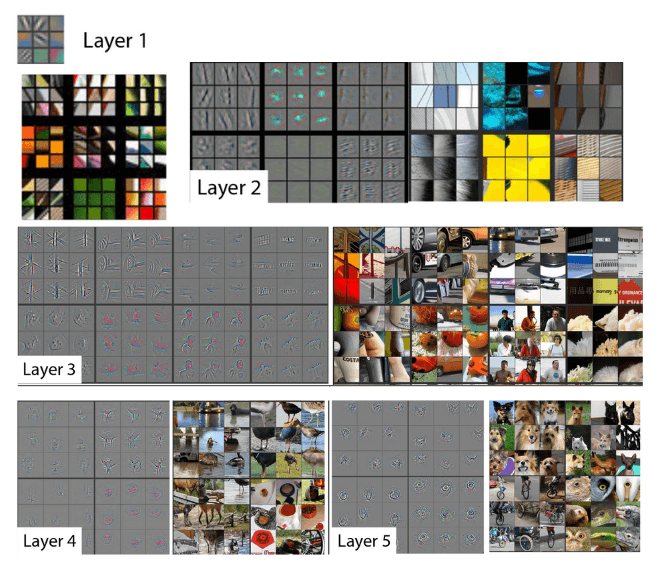 Convolutional Neural Networks build complexity in their representations as you progress through the layers.