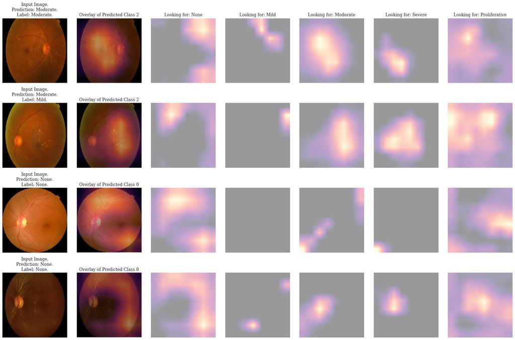 Grad-CAM attribution maps for 4 random images applied to the baseline network. The attribution maps are relative to the class that the network is looking for, which is seen at the top of the columns.